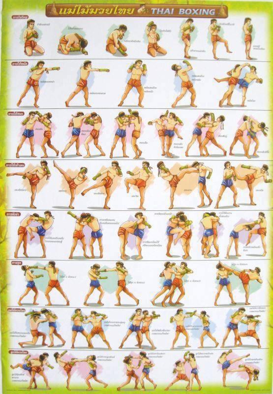 Techniques du Muay Thai